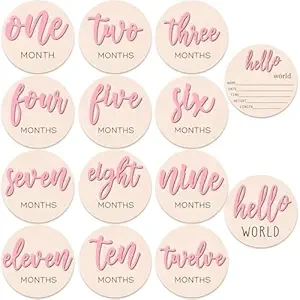 7 Pcs Baby 3D Monthly Milestone Wooden Signs Girl Baby 1-12 Months Announcement Card Sign Wood Markers Disc Block Baby Keepsake Double Sided Engraved Keepsake Photo Prop (Pink)