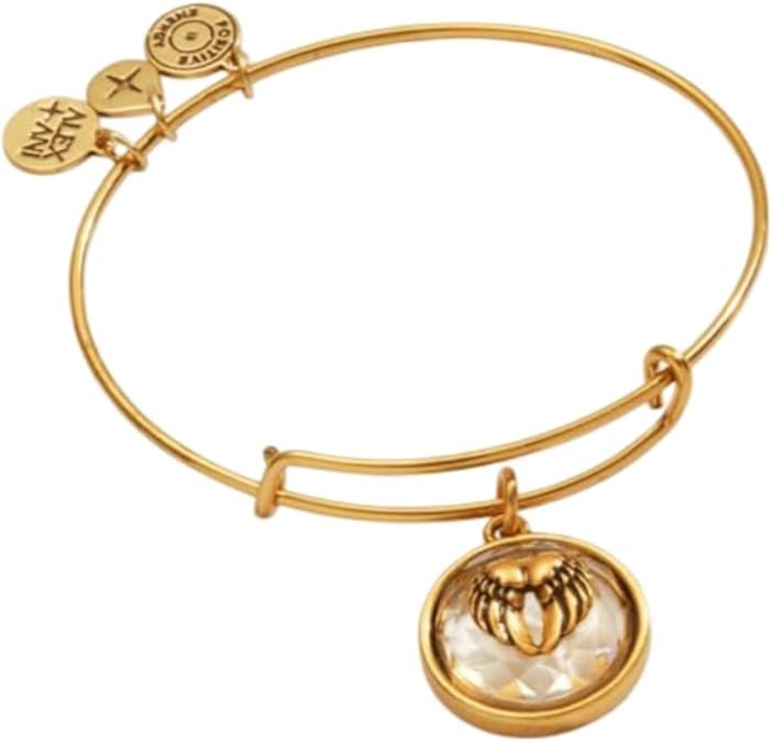 Alex and Ani Crystal Angel Wing Charm Bangle